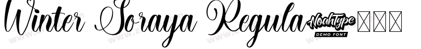 Winter Soraya Regula字体转换
